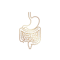 Digestive Health